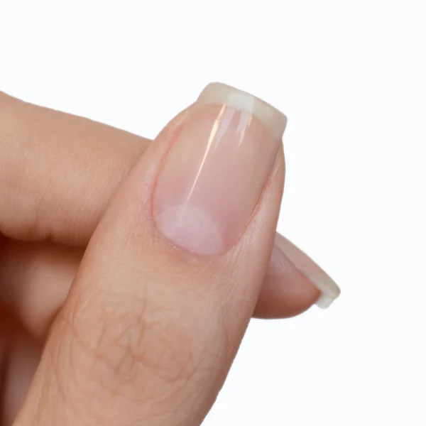 Builder Gel o Gel Constructor Pote - Imagen 3